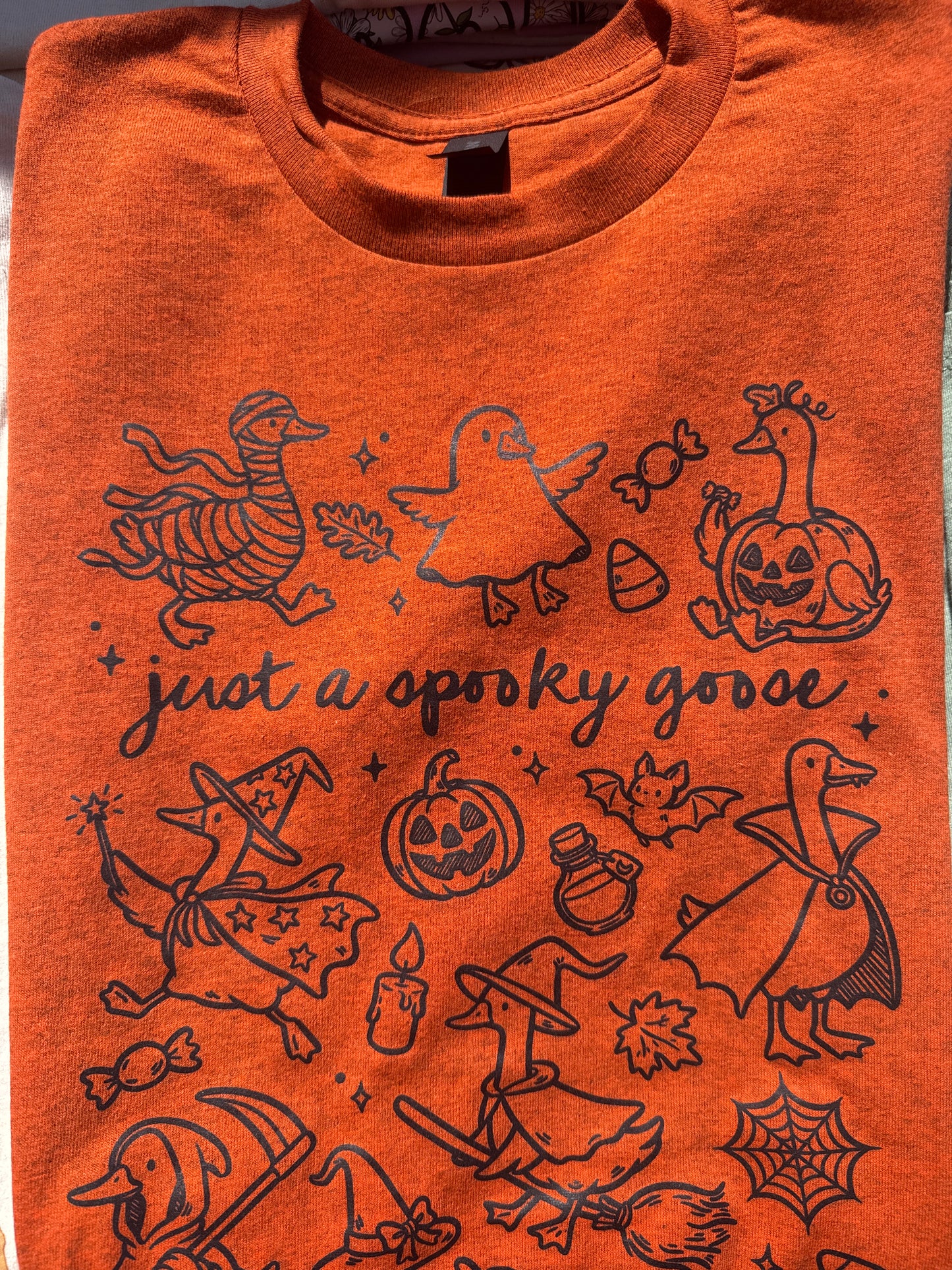 Spooky goose
